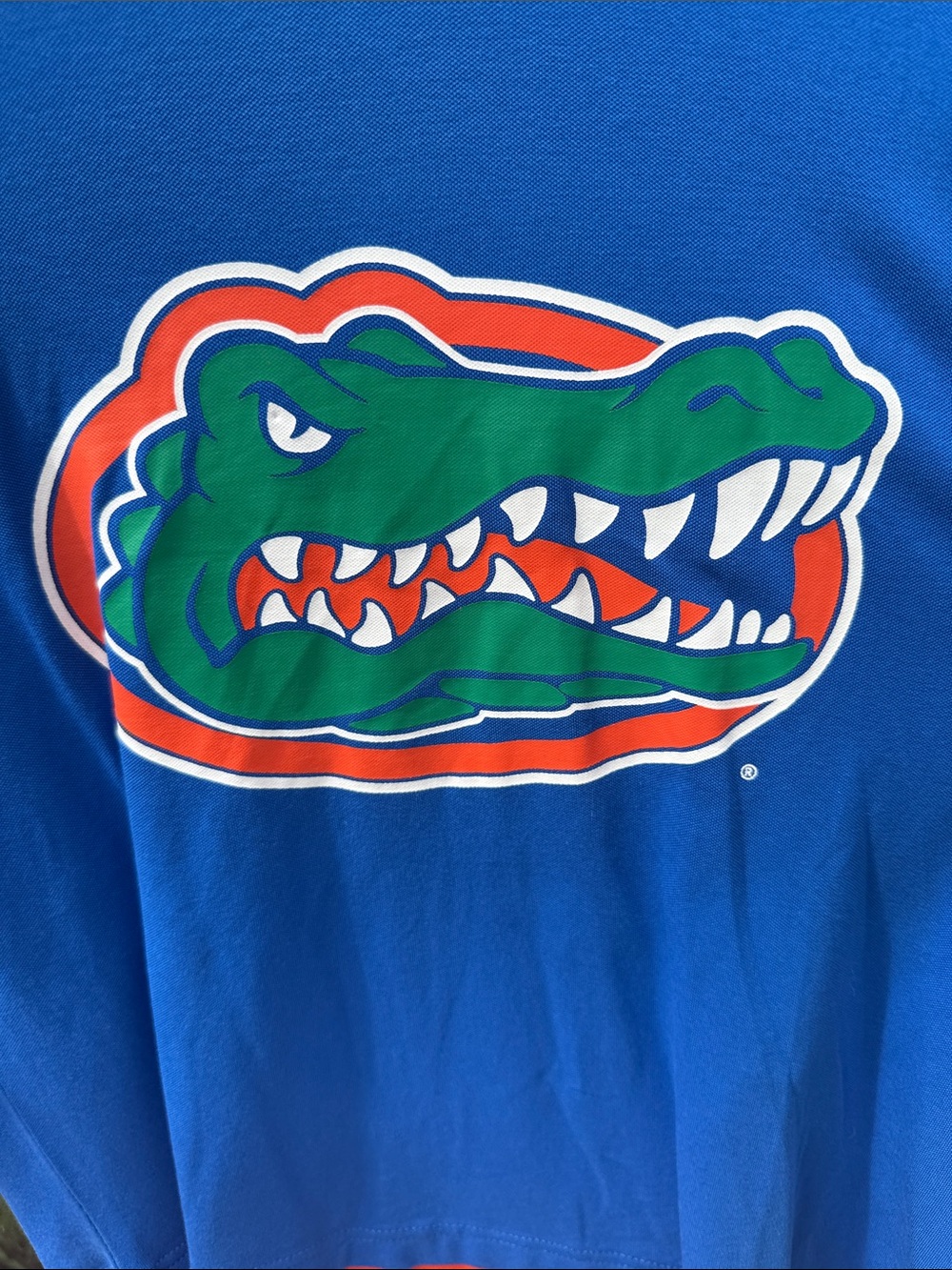 Florida Gators Youth Hooded Long Sleeve Shirt - Blue & Orange